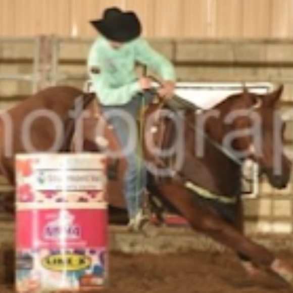 All the ponies! - Picture 2 of 8